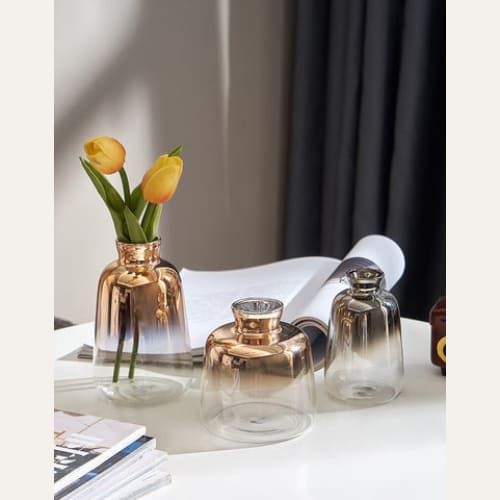 Novita Casa – Glass Vases with Gold Shine - Novita Casa